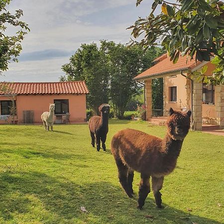 Hotel 3 Alpacas La Campa 외부 사진