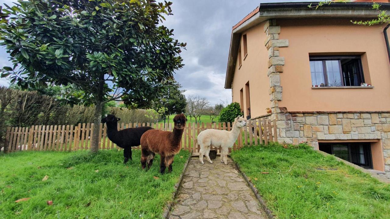 Hotel 3 Alpacas La Campa 외부 사진